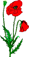 blumen animierte-bilder-gif